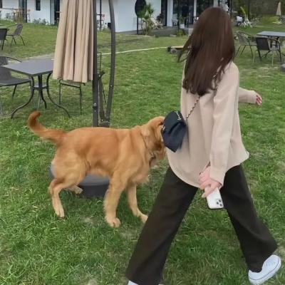 女猎鹰人